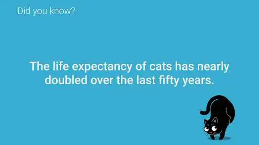 Play Catrivia TV - Cat Facts and enjoy Catrivia TV - Cat Facts with UptoPlay Play Catrivia TV - Cat Facts and enjoy Catrivia TV - Cat Facts with UptoPlay