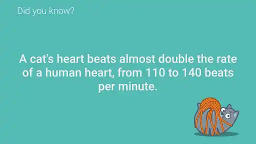 Play Catrivia TV - Cat Facts as an online game online Catrivia TV - Cat Facts with UptoPlay com.kevinramdath.catriviatv Play Catrivia TV - Cat Facts as an online game Catrivia TV - Cat Facts with UptoPlay