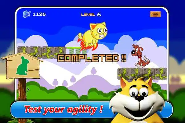Play Cat Run Dog
