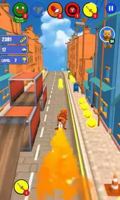 Play Cat Run Leo 2