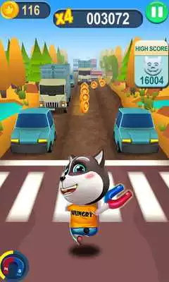 Play Cat Runner-Online Rush