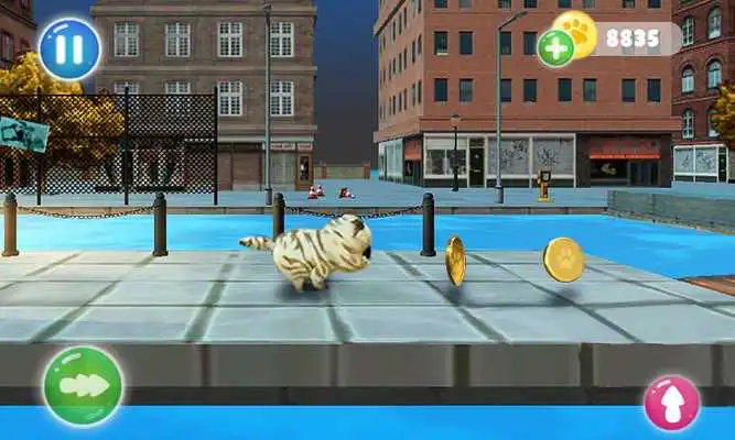 Play Cat Run Simulator