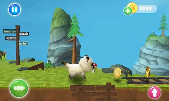 Play Cat Run Simulator