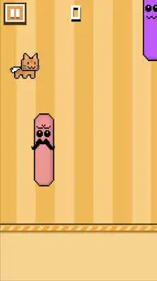 Play Cat Rush