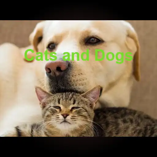 Play Cats and Dog Bulk and Budget meals APK Play Cats and Dog Bulk and Budget meals APK