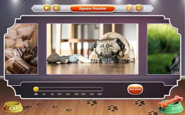 Play Cats and Dogs Jigsaw Puzzles Play Cats and Dogs Jigsaw Puzzles