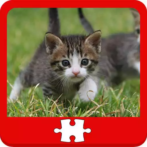 Free play online Cats and Kittens Puzzles APK