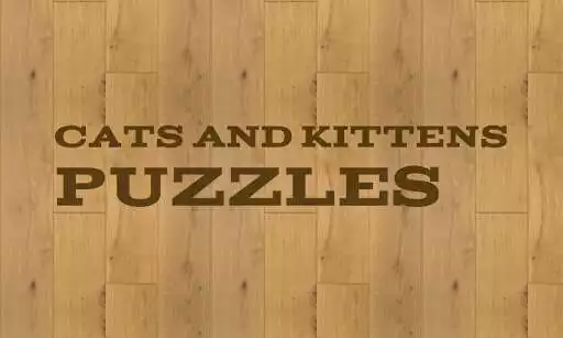 Play Cats and Kittens Puzzles Play Cats and Kittens Puzzles