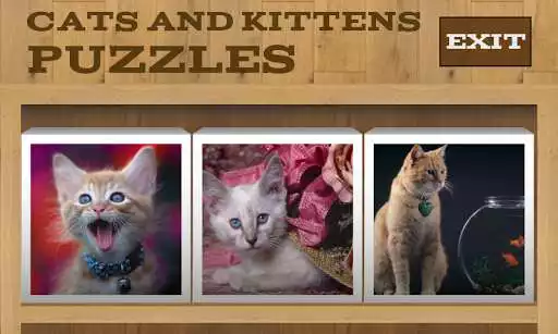 Play Cats and Kittens Puzzles Play Cats and Kittens Puzzles
