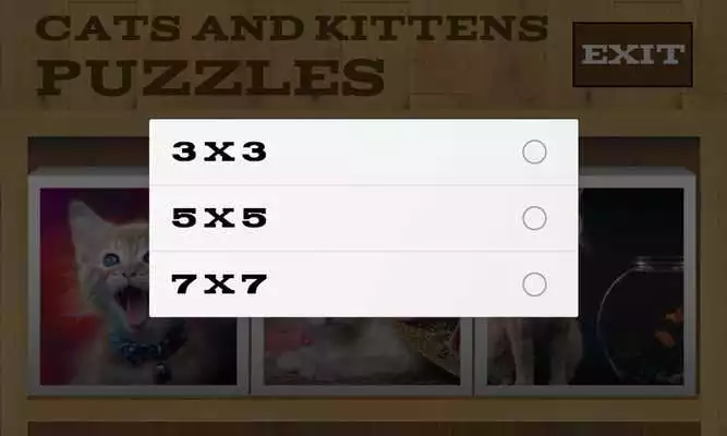 Play Cats and Kittens Puzzles Play Cats and Kittens Puzzles