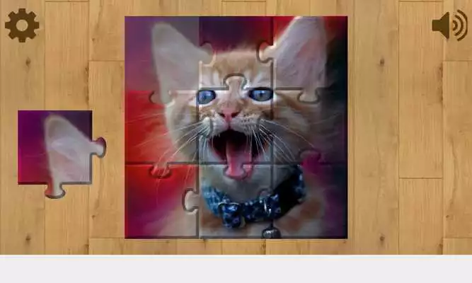 Play Cats and Kittens Puzzles Play Cats and Kittens Puzzles