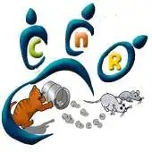 Free play online Cats And Rats APK Free play online Cats And Rats APK