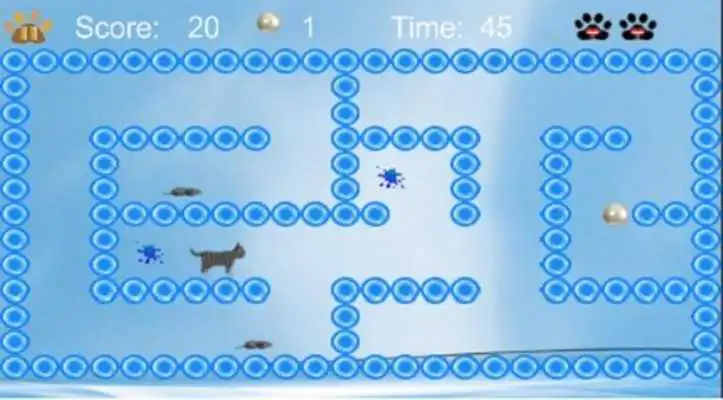 Play Cats And Rats
