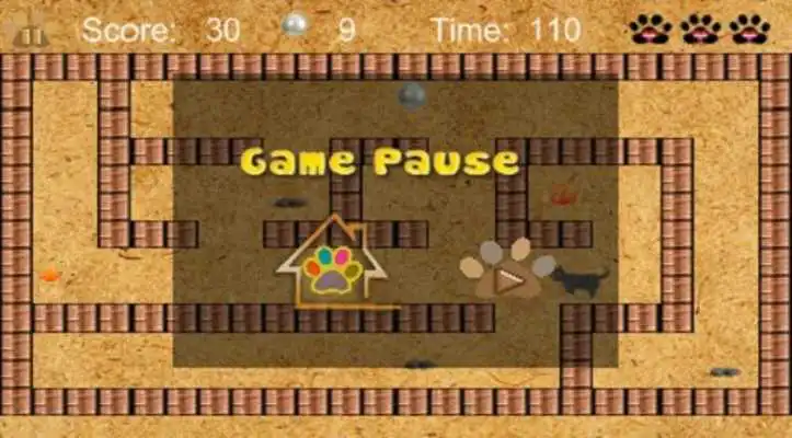 Play Cats And Rats