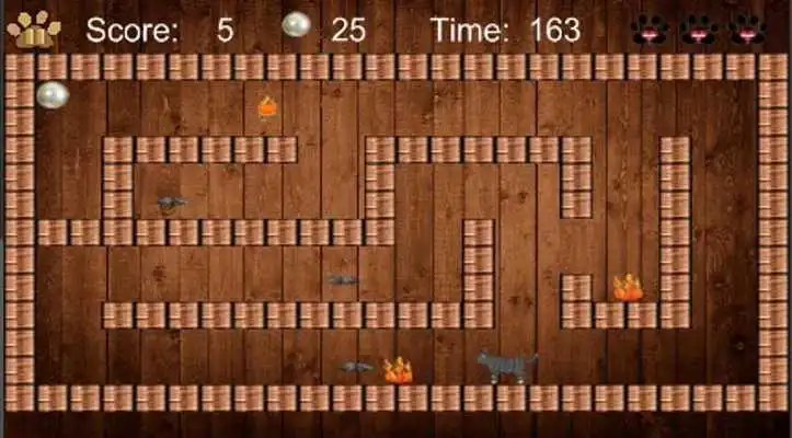 Play Cats And Rats