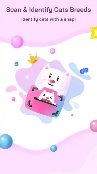 Play Cat Scanner - Cat identifier  and enjoy Cat Scanner - Cat identifier with UptoPlay