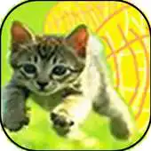 Free play online Catscapes APK