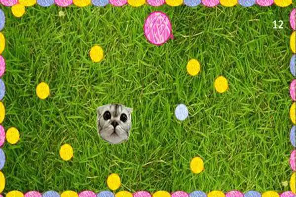 Play Catscapes