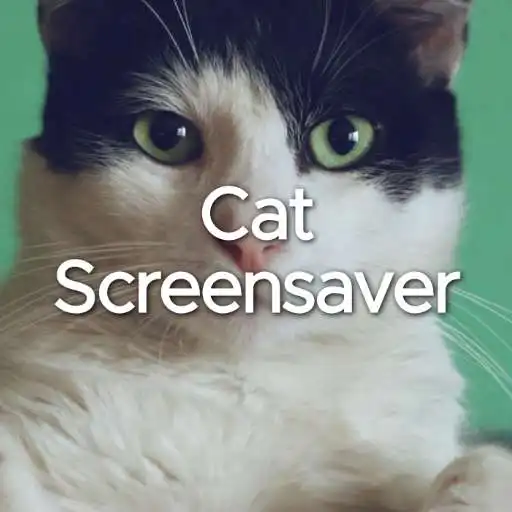 Play Cat Screensaver APK