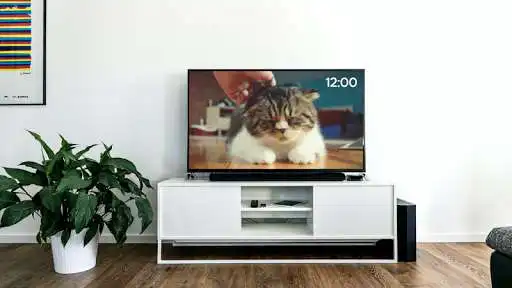 Play Cat Screensaver and enjoy Cat Screensaver with UptoPlay Play Cat Screensaver and enjoy Cat Screensaver with UptoPlay