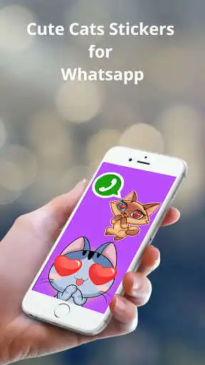 Play Cats Cute & Love Sticker WAStickerApps  and enjoy Cats Cute & Love Sticker WAStickerApps with UptoPlay