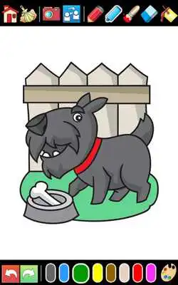 Play Cats  Dogs