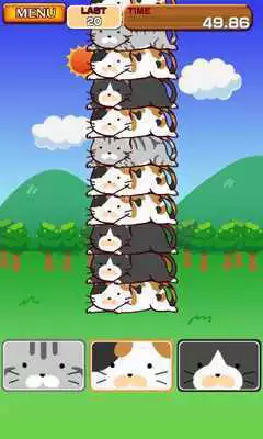 Play CatsDrop Return