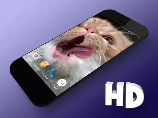 Play Cat Shake HD Live Wallpaper  and enjoy Cat Shake HD Live Wallpaper with UptoPlay