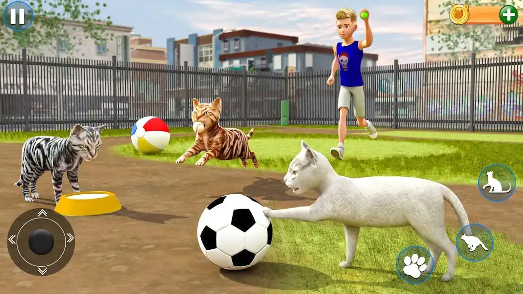Play Cat Simulator Kitty Pet Care and enjoy Cat Simulator Kitty Pet Care with UptoPlay Play Cat Simulator Kitty Pet Care and enjoy Cat Simulator Kitty Pet Care with UptoPlay