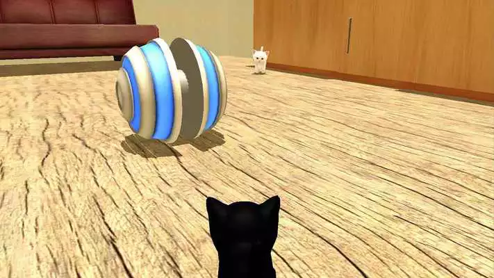 Play Cat Simulator VR