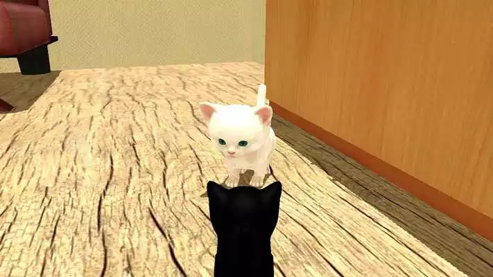 Play Cat Simulator VR