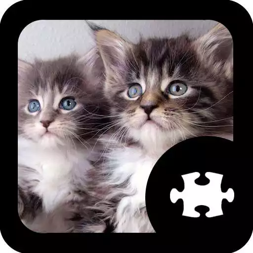 Play Cats Kitten Puzzle APK Play Cats Kitten Puzzle APK