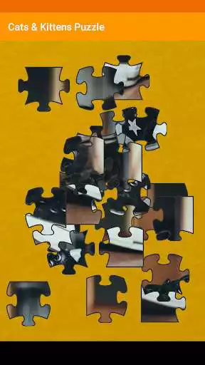 Play Cats  Kitten Puzzle as an online game Cats  Kitten Puzzle with UptoPlay