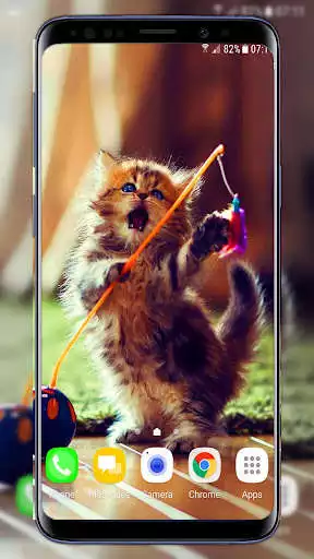 Play Cats Live Wallpaper and enjoy Cats Live Wallpaper with UptoPlay Play Cats Live Wallpaper and enjoy Cats Live Wallpaper with UptoPlay