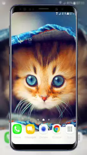 Play Cats Live Wallpaper as an online game online Cats Live Wallpaper with UptoPlay Play Cats Live Wallpaper as an online game Cats Live Wallpaper with UptoPlay
