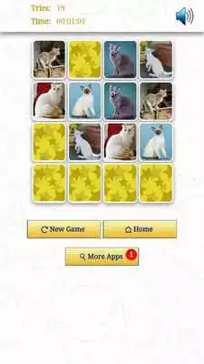 Play CATS Match N Learn - FREE