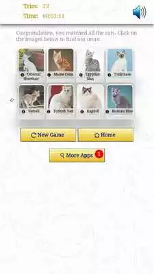 Play CATS Match N Learn - FREE