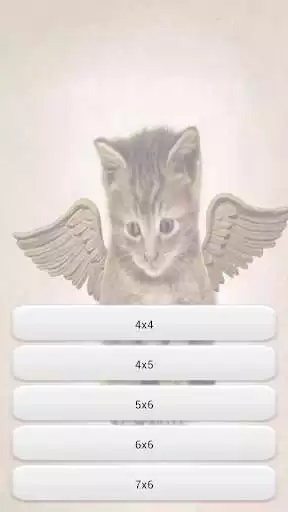 Play Cats Memory Game
