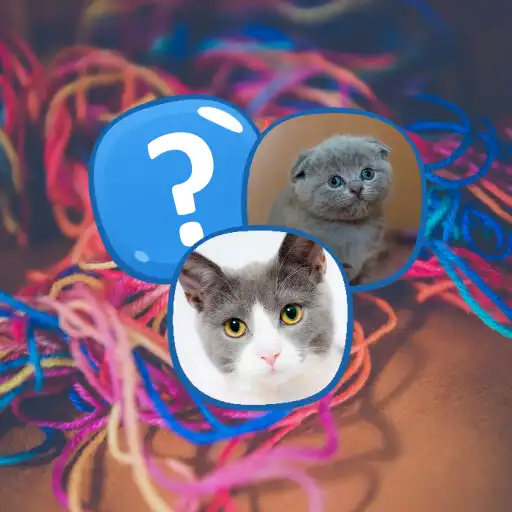 Play Cats Memory APK