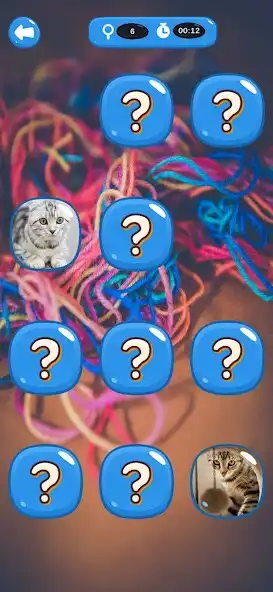 Play Cats Memory  and enjoy Cats Memory with UptoPlay
