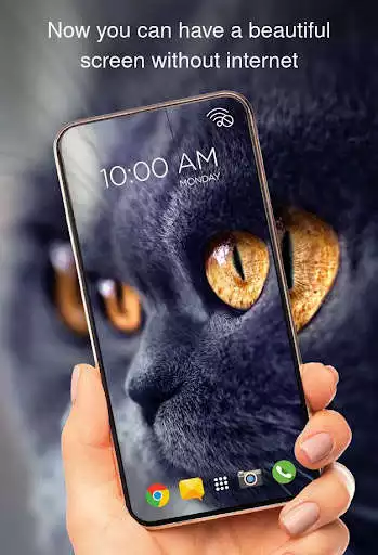 Play Cats on wallpapers offline  and enjoy Cats on wallpapers offline with UptoPlay