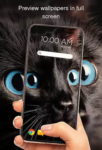 Play Cats on wallpapers offline as an online game Cats on wallpapers offline with UptoPlay