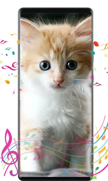 Play cat sound  and enjoy cat sound with UptoPlay