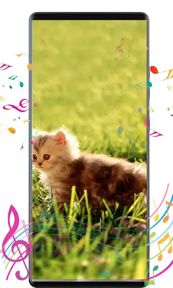 Play cat sound as an online game cat sound with UptoPlay