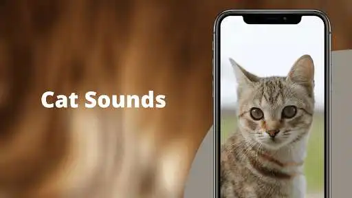 Play Cat Sounds - Meow Sound  and enjoy Cat Sounds - Meow Sound with UptoPlay
