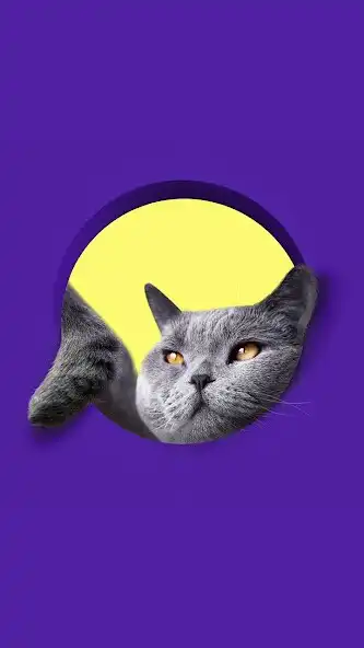 Play Cat sounds real  and enjoy Cat sounds real with UptoPlay