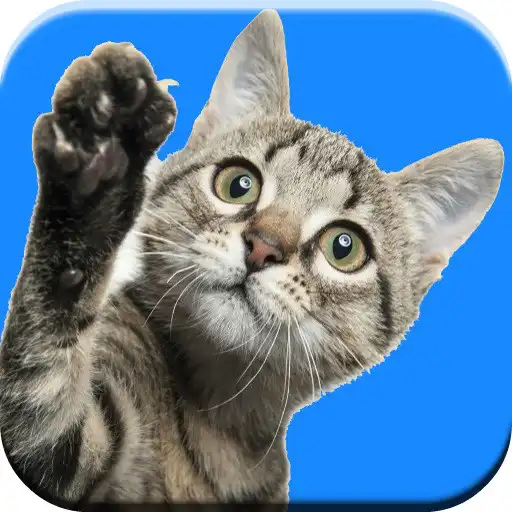 Run free android online Cat Sounds Ringtones APK Run free android online Cat Sounds Ringtones APK
