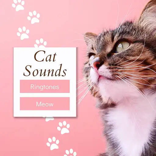 Play Cat Sounds Ringtones Meow APK