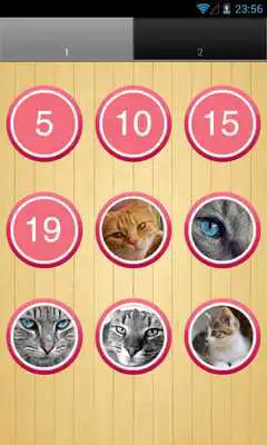 Play Cat Sounds - train cats