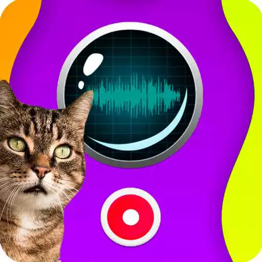 Play Cat Speaker APK
